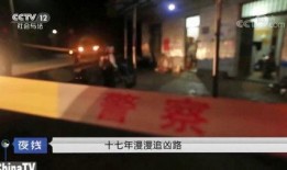 东莞都市爆料事件视频最新,最新视频揭露惊人真相，事件背后有何隐情？