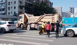 深圳公交最新爆料,路线优化与智能出行体验升级