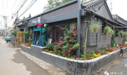 最新星光飞宠爆料2025