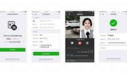 小程序最新实时爆料网站,小程序行业动态一网打尽