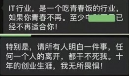 it公司最新爆料,行业变革与创新趋势全解析