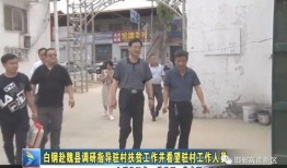 羊村最新爆料新闻视频,最新爆料新闻视频深度解析