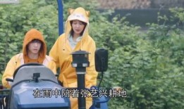 老穆最新爆料视频在线观看,视频内容深度解析