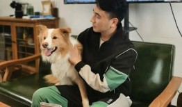 林生斌最新爆料官方,揭开真相背后的惊人内幕