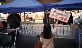 杭州摆地摊爆料事件最新,街头经济与城市管理的新考验