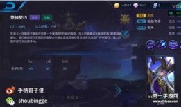 王哥王者爆料视频大全最新,揭秘最新游戏内幕与精彩瞬间