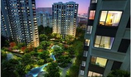 太原保利爆料最新消息