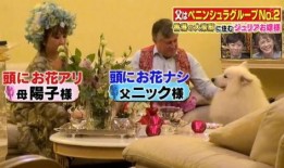 香港生活爆料视频大全最新