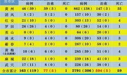 最新爆料黄冈疫情,揭秘病毒传播链与防控措施强化