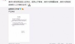 羊村最新爆料事件视频播放