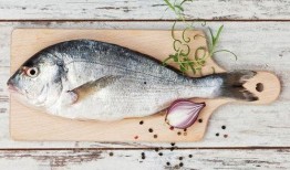 小鱼爱吃鱼最新爆料