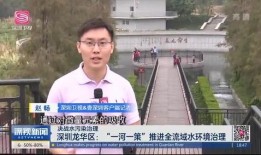 龙华大浪爆料最新消息新闻