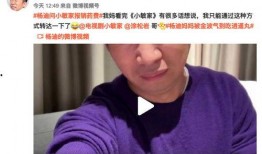 杨迪各种爆料视频大全最新,揭秘娱乐圈幕后故事与趣味瞬间