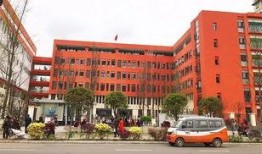 宜宾学校爆料事件的最新进展,真相逐步浮出水面，家长学生权益再引关注