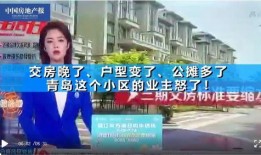 青岛开发商爆料事件最新,揭露楼市乱象，真相背后引关注