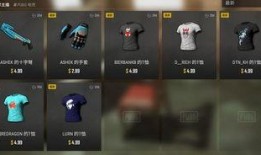 pubg联名最新爆料,pubg联名最新爆料，跨界合作背后的惊喜与期待