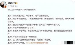 三只羊最新录音爆料视频,独家爆料背后的故事与真相