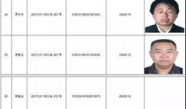 爆料张姓艺人名单最新图片,张姓艺人名单最新曝光，娱乐圈风云再起