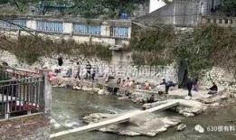 重庆温泉爆料案件最新,揭开背后惊人真相，多角度剖析事件始末