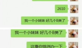 小洲最新动态爆料,揭秘娱乐圈幕后真相