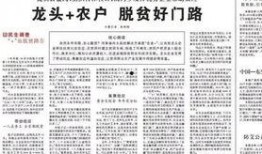 牧原最新爆料新闻报道,揭秘农业巨头牧原集团发展新动向