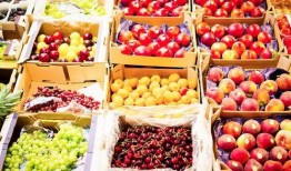 水果台最新爆料,明星们的甜蜜生活幕后故事