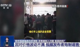 无底线爆料视频大全最新