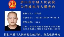 茂名真实爆料案件最新,揭秘背后惊人真相