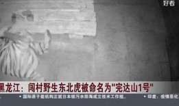 最新黑龙江爆料事件,惊天秘密揭露！