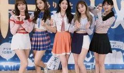 女团活动最新消息爆料,最新活动消息大揭秘