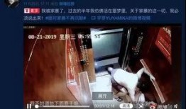 网红网友爆料视频大全最新,揭秘网络热点背后的真相