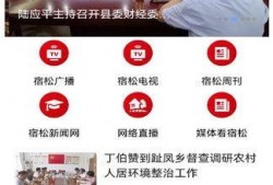 宿松新闻爆料最新,突发！最新事件引发关注，详情即将揭晓