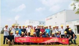 阳西新圩最新爆料新闻,最新爆料揭示惊人真相