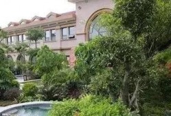 前湾新区爆料案件最新进展,案情明朗，正义终将到来”