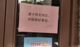 杭州卢女士最新爆料,揭秘某事件背后惊人真相