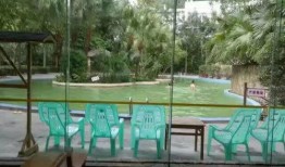 重庆温泉爆料案件最新,揭开背后惊人真相，多角度剖析事件始末