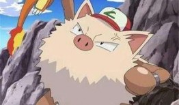 娜美最新爆料辛巴,揭秘直播界风云再起