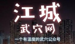 武穴市最新爆料,揭秘城市变迁与发展新动向