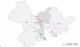 爆料惠州新闻最新消息,重大事件引发社会关注